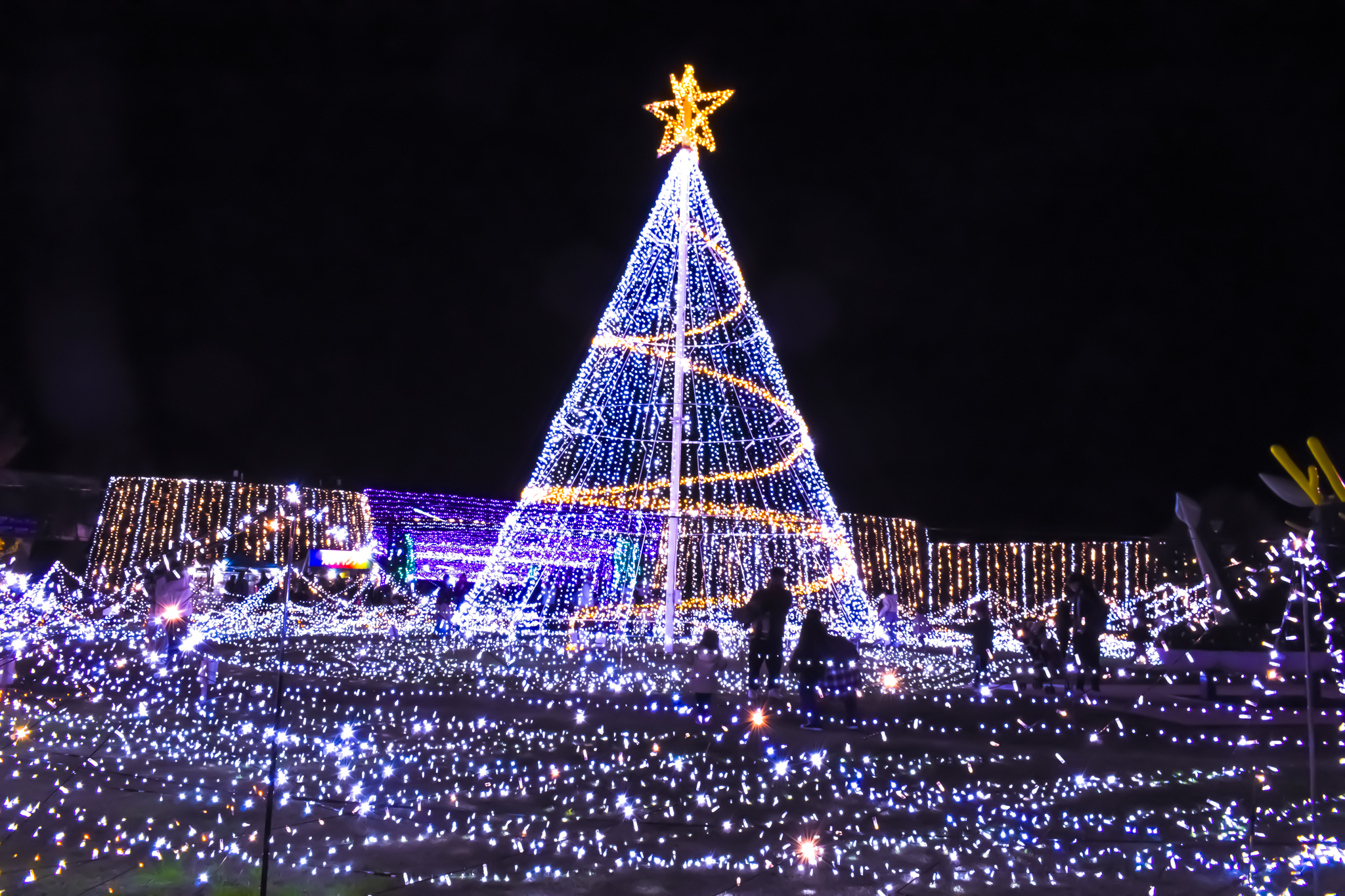 まんのう公園イルミネーション「ツリー」