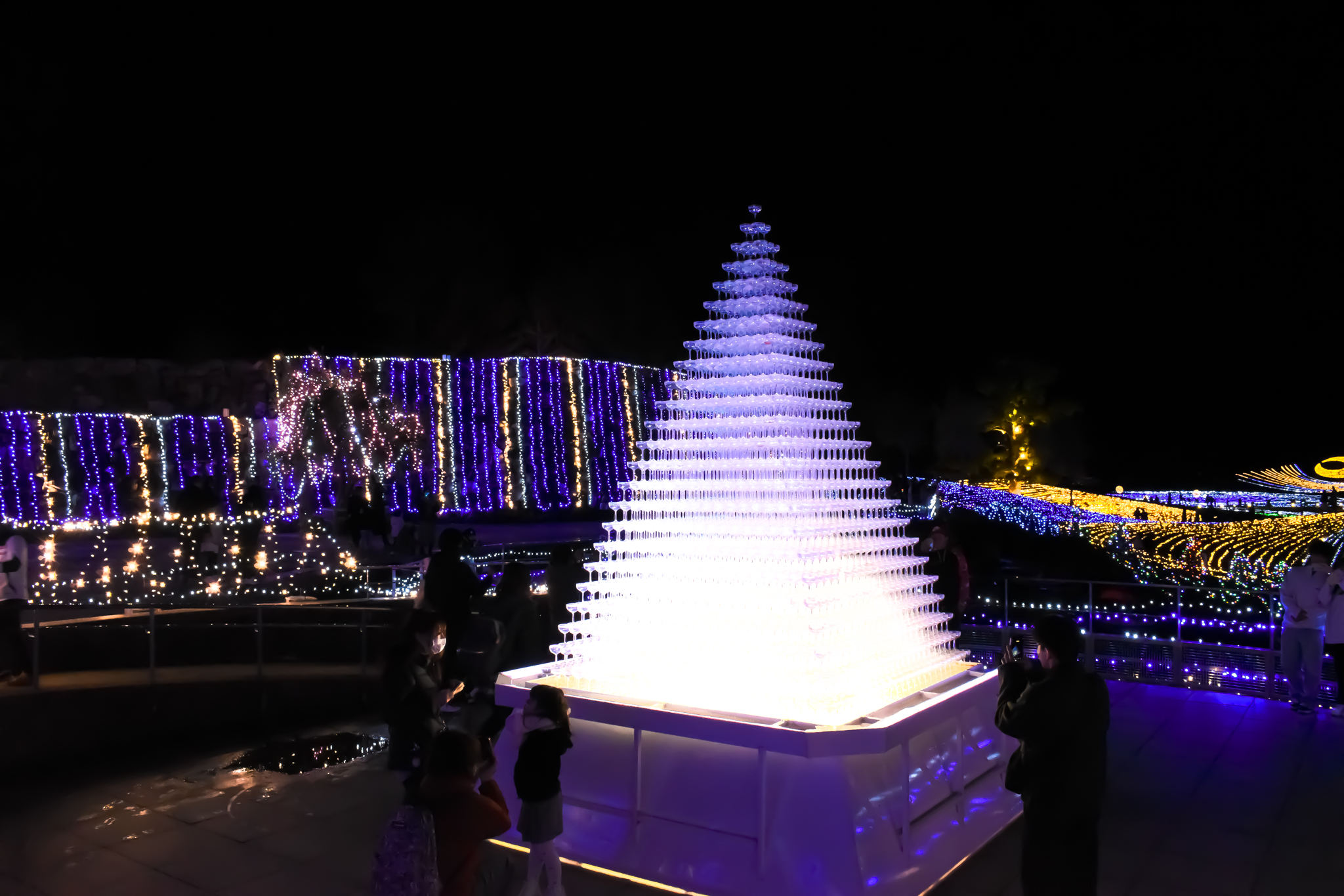 まんのう公園イルミネーション「グラス」