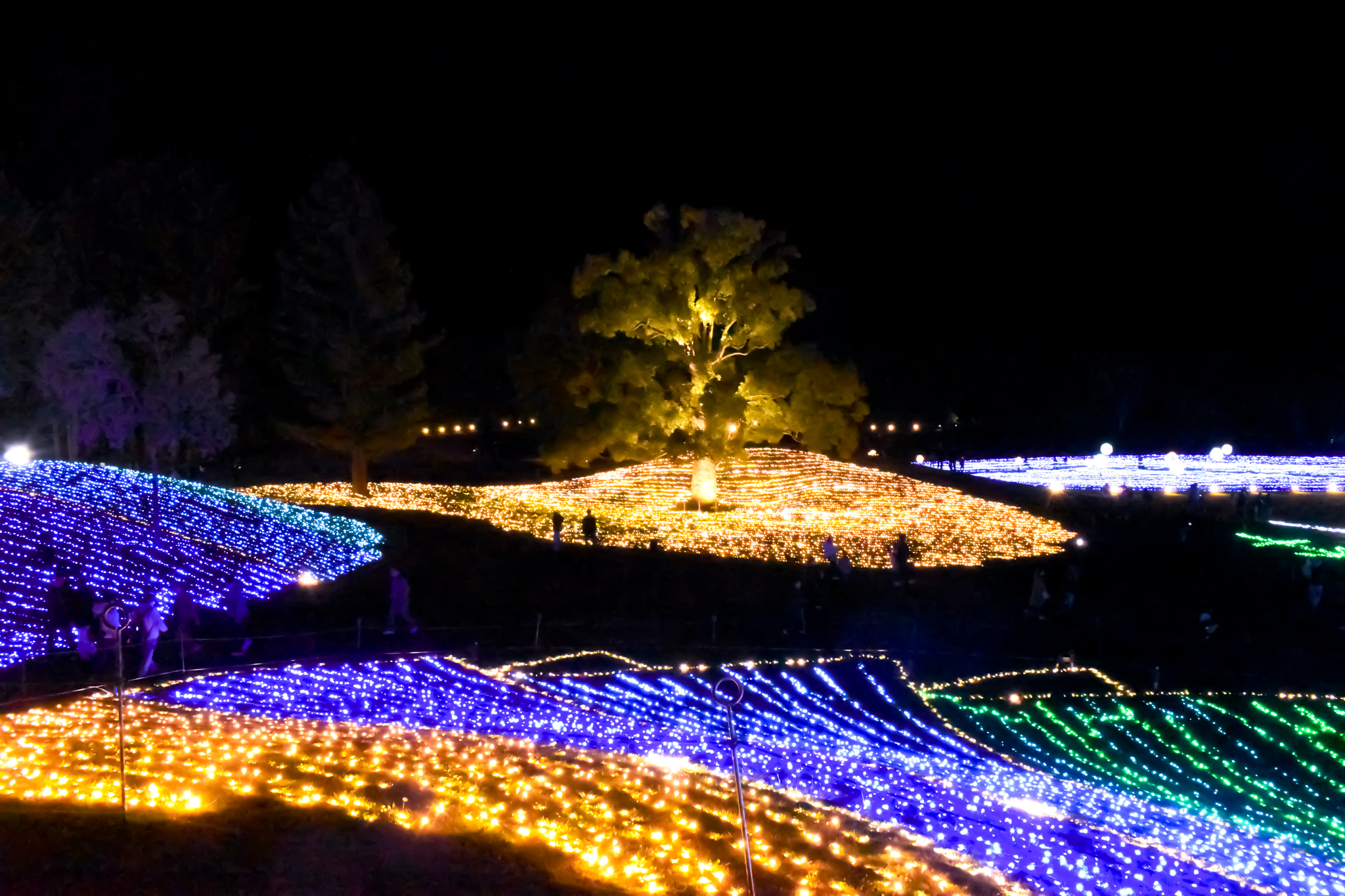 まんのう公園イルミネーション「星空散歩」